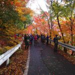 １１月２５日（土）JRハイキング（日本の100名城登山） 紅葉の小谷城跡を一周しよう